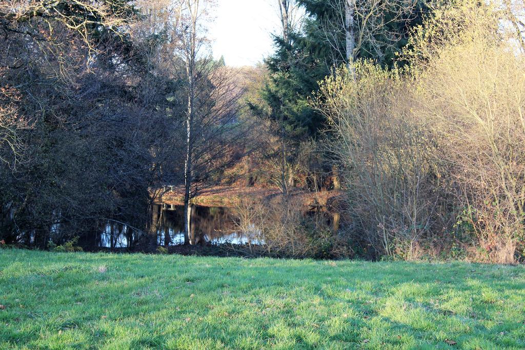 La Petite Jeusseliniere Villa Larchamp Eksteriør bilde